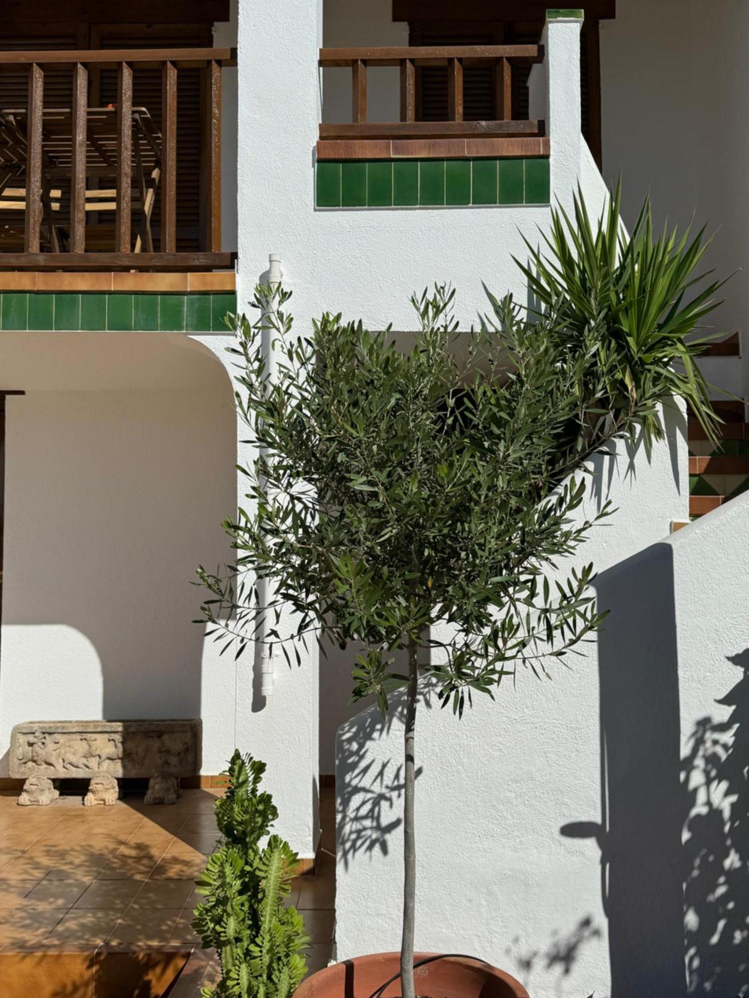 Espectacular Sunny House In The Beach 库尼特 外观 照片